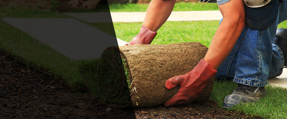 Sand Lake Landscapers